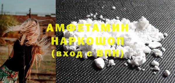молекула духа Костерёво