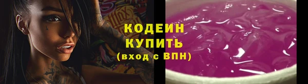 молекула духа Костерёво