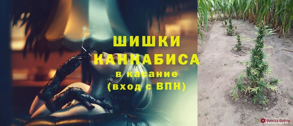 прущий лед Корсаков