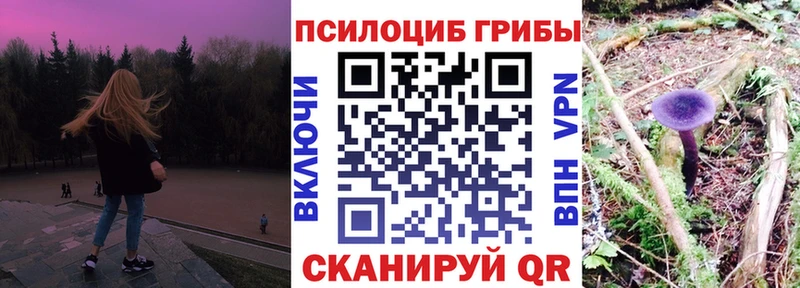 Купить закладки  Ноябрьск  Псилоцибиновые грибы Magic Shrooms 